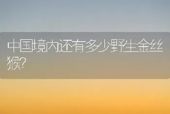 中国境内还有多少野生金丝猴？