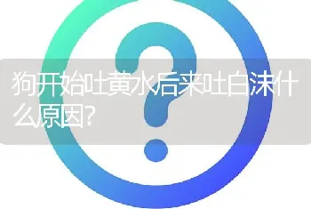 狗开始吐黄水后来吐白沫什么原因？