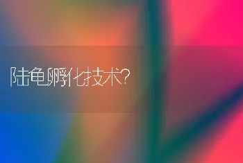 陆龟孵化技术？