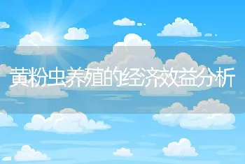 黄粉虫养殖的经济效益分析