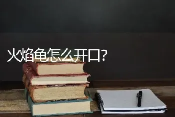 火焰龟怎么开口？