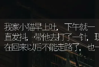 我家小猫早上吐,下午就一直发抖,带他去打了一针,现在回来以后不能走路了,也一？