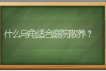 什么乌龟适合庭院散养？