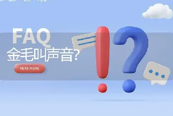 金毛叫声音？