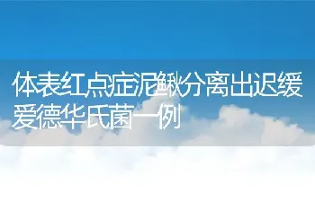 体表红点症泥鳅分离出迟缓爱德华氏菌一例