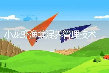 小龙虾渔塘混养管理技术