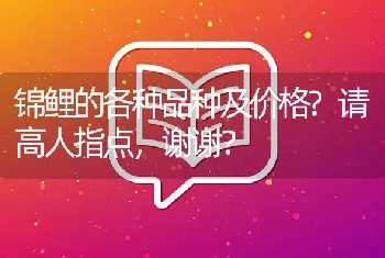 锦鲤的各种品种及价格？请高人指点，谢谢？