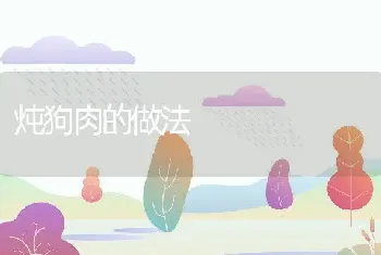 炖狗肉的做法