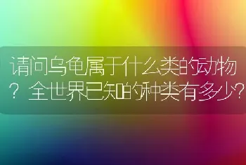 请问乌龟属于什么类的动物？全世界已知的种类有多少？