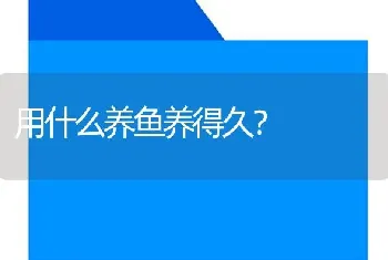 用什么养鱼养得久？