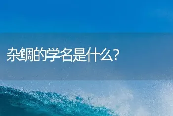 杂鲷的学名是什么？