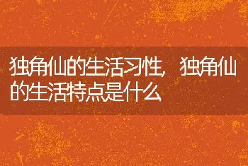 独角仙的生活习性，独角仙的生活特点是什么