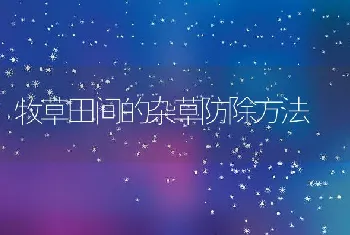 春季池塘混养鱼类注意事项