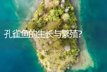 孔雀鱼的生长与繁殖？