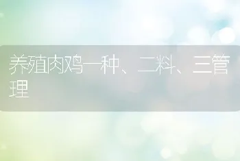 养殖肉鸡一种、二料、三管理