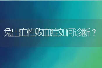 兔出血性败血症如何诊断？