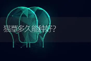 猫草多久能种好？