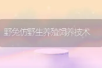 野兔仿野生养殖饲养技术