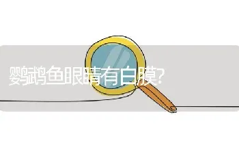 鹦鹉鱼眼睛有白膜？