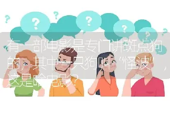 有一部电影是专门讲斑点狗的，其中一只狗叫“怪波”，这是啥电影？