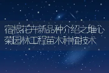 泰乐菌素（Tylosin）