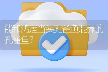 能和鸿运当头孔雀鱼混养的孔雀鱼？