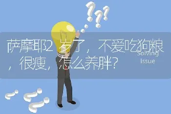 萨摩耶2岁了，不爱吃狗粮，很瘦，怎么养胖？