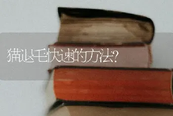 金毛是哪个国家的品牌？