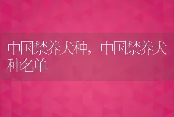 中国禁养犬种，中国禁养犬种名单