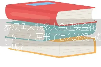 罗汉鱼大概多大会起头金花。6 7厘米了怎么还没有起头呢？