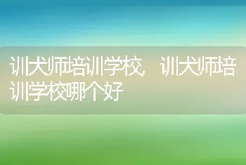 训犬师培训学校，训犬师培训学校哪个好