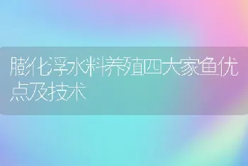 膨化浮水料养殖四大家鱼优点及技术