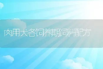 肉用犬各饲养期饲料配方