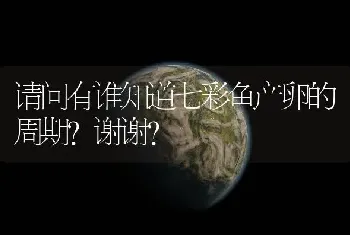 请问有谁知道七彩鱼产卵的周期？谢谢？