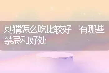 刺猬怎么吃比较好 有哪些禁忌和好处