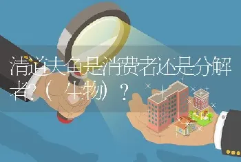 清道夫鱼是消费者还是分解者？(生物)？