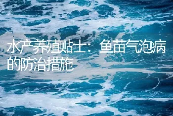 水产养殖贴士：鱼苗气泡病的防治措施