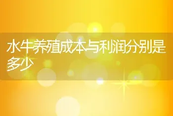 水牛养殖成本与利润分别是多少