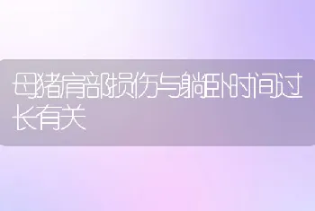 江苏兴化市竹泓镇落实夏季预防鱼池缺氧技术管理措施