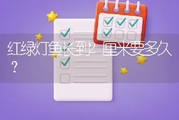 红绿灯鱼长到2厘米要多久？