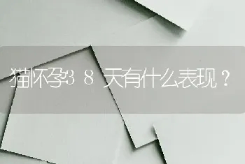 金毛标准尺寸是多少？