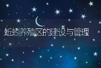 蚯蚓养殖区的建设与管理