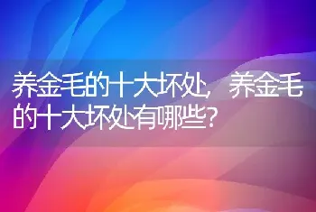 养金毛的十大坏处，养金毛的十大坏处有哪些？