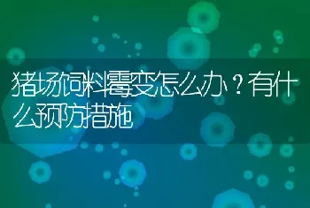 猪场饲料霉变怎么办？有什么预防措施