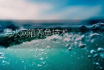 海水网箱养鱼技术