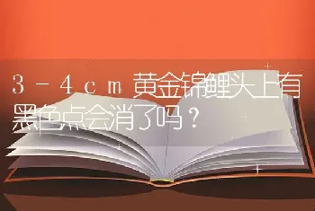 3-4cm黄金锦鲤头上有黑色点会消了吗？