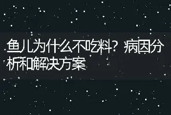 鱼儿为什么不吃料？病因分析和解决方案