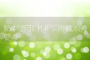 奶牛使用TMR饲养技术的要点