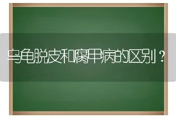 乌龟脱皮和腐甲病的区别？