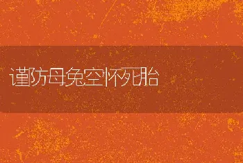 谨防母兔空怀死胎